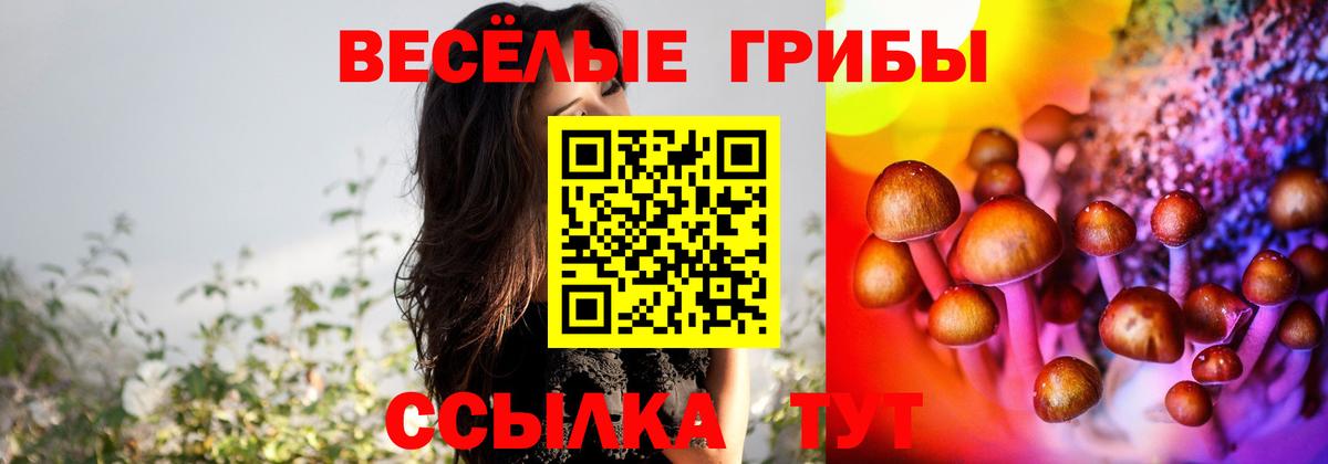 Галлюциногенные грибы GOLDEN TEACHER Новошахтинск